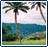 Course Reviews